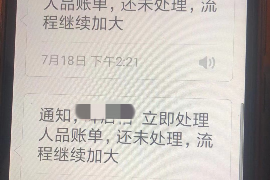 枣庄如何避免债务纠纷？专业追讨公司教您应对之策